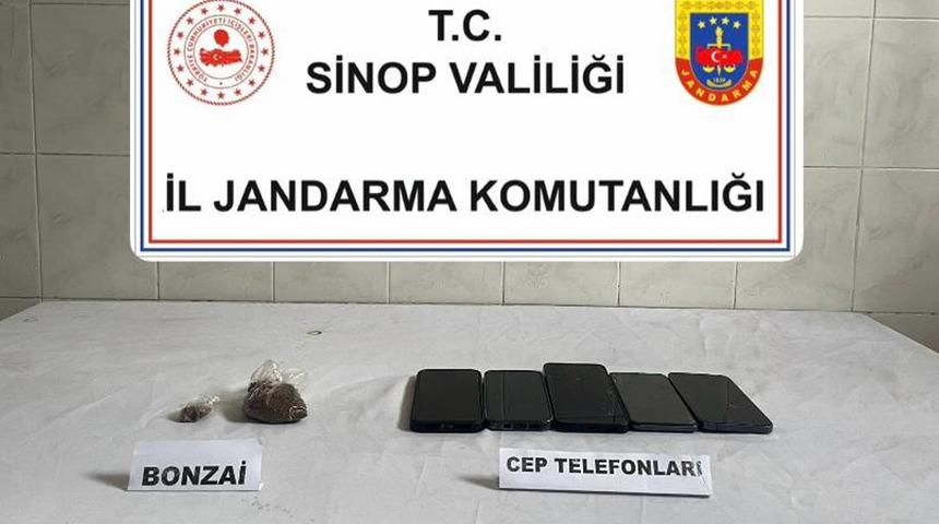 Sinop'ta bonzai ele geçirildi: 1 kişi tutuklandı