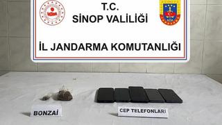 Sinop'ta bonzai ele geçirildi: 1 kişi tutuklandı