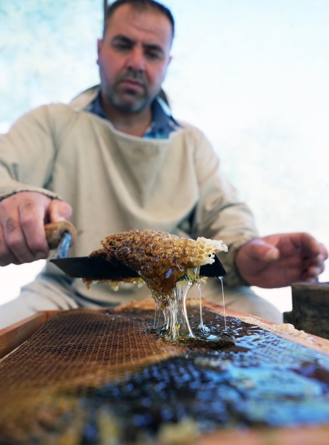 Dünyadaki üretimin yüzde 92 si Türkiye de! Milyonlarca var, 1 teneke 5 bin TL 1