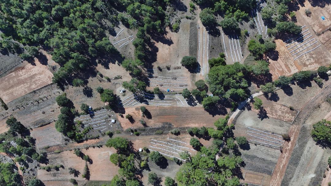 Dünyadaki üretimin yüzde 92 si Türkiye de! Milyonlarca var, 1 teneke 5 bin TL 3
