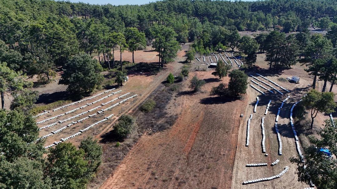 Dünyadaki üretimin yüzde 92 si Türkiye de! Milyonlarca var, 1 teneke 5 bin TL 4