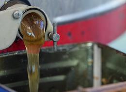 Dünyadaki üretimin yüzde 92'si Türkiye'de! Milyonlarca var, 1 teneke 5 bin TL