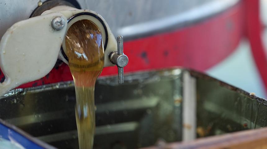 Dünyadaki üretimin yüzde 92'si Türkiye'de! Milyonlarca var, 1 teneke 5 bin TL