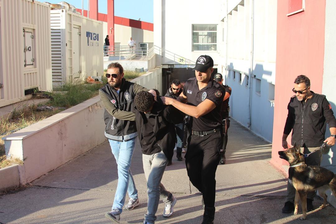 Karışmadıkları suç yok! Bayğaralar a operasyonda son perde: İp gibi dizildiler 5