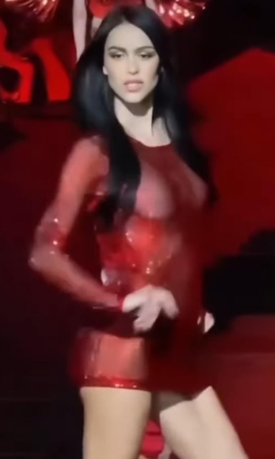 amelia amelia
