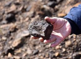 İlk kez üretilecek! Çin'den sonra dünyada ikinci sırada: 220 milyon dolar gelir sağlayacak