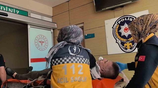 Ağaçtan düşen adam hayatını kaybetti 1