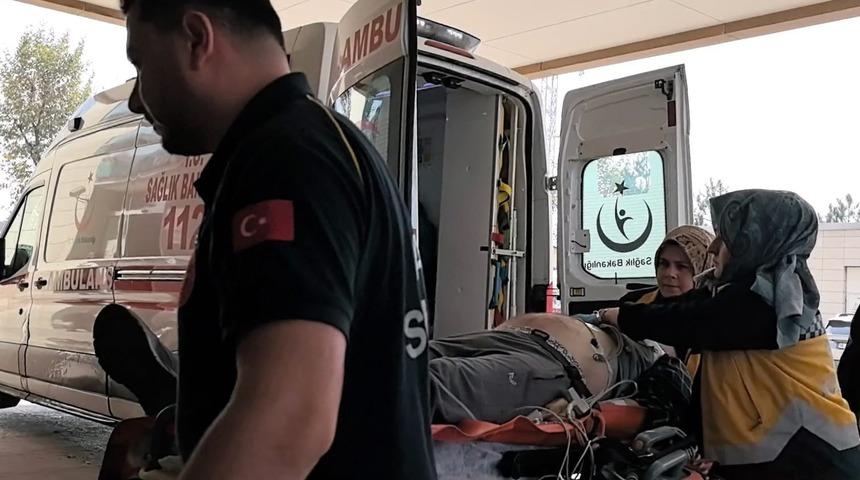 Ağaçtan düşen adam hayatını kaybetti