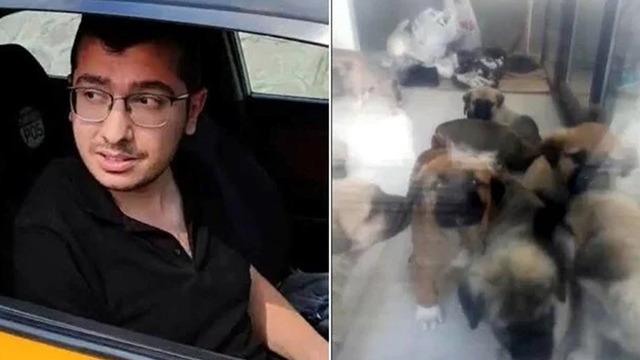 Sahiplendiği köpekleri katleden doktora 9 yıl 9 ay hapis cezası!
