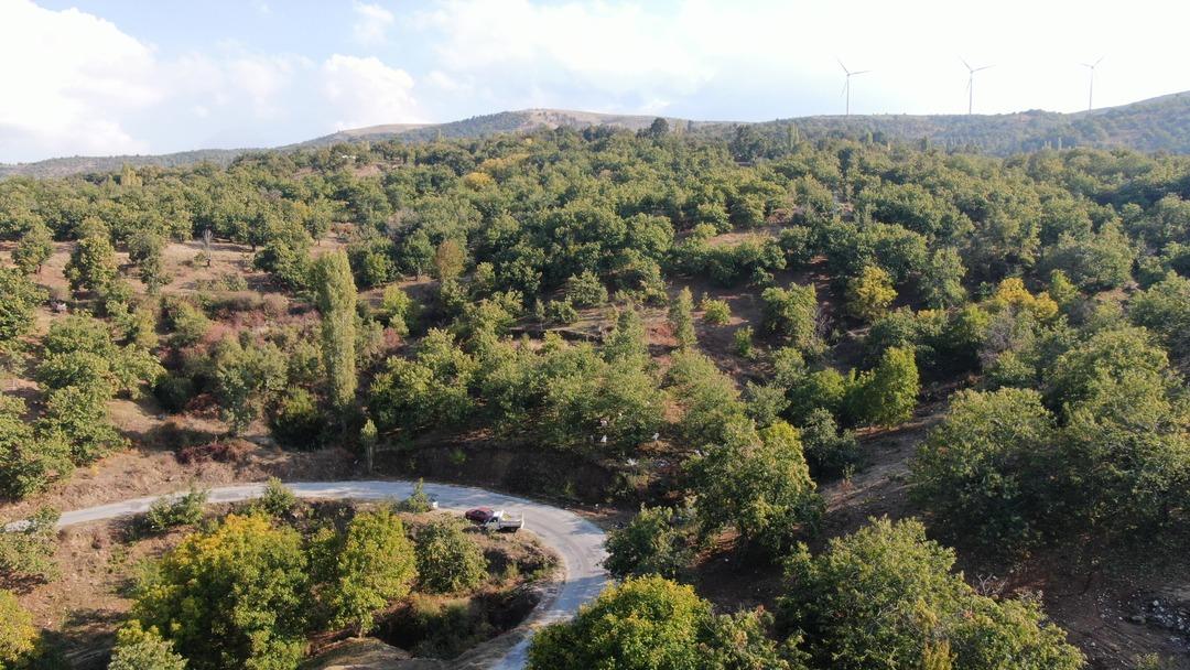 20 günde 100 bin TL kazanabilirsiniz! Tek sorunları işçi bulamamak  Arıyoruz bulamıyoruz  1
