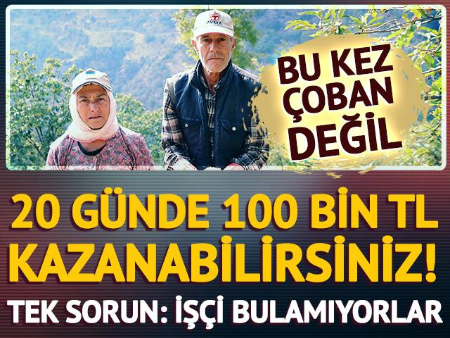 20 günde 100 bin TL kazanabilirsiniz!