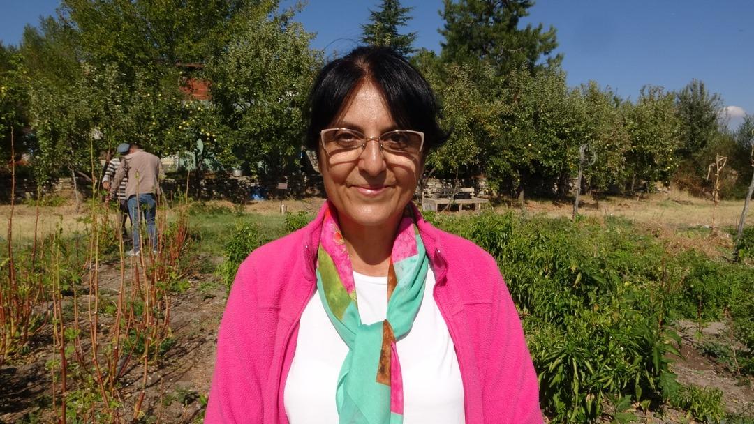 Fransa dan köyüne sera kurmak için döndü: "600 kişiye istihdam" 3