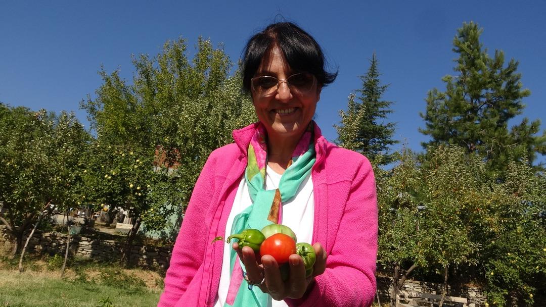 Fransa dan köyüne sera kurmak için döndü: "600 kişiye istihdam" 7