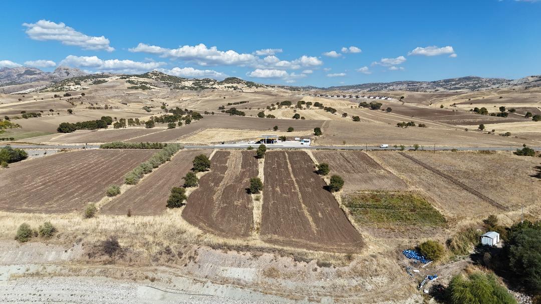 Fransa dan köyüne sera kurmak için döndü: "600 kişiye istihdam" 6