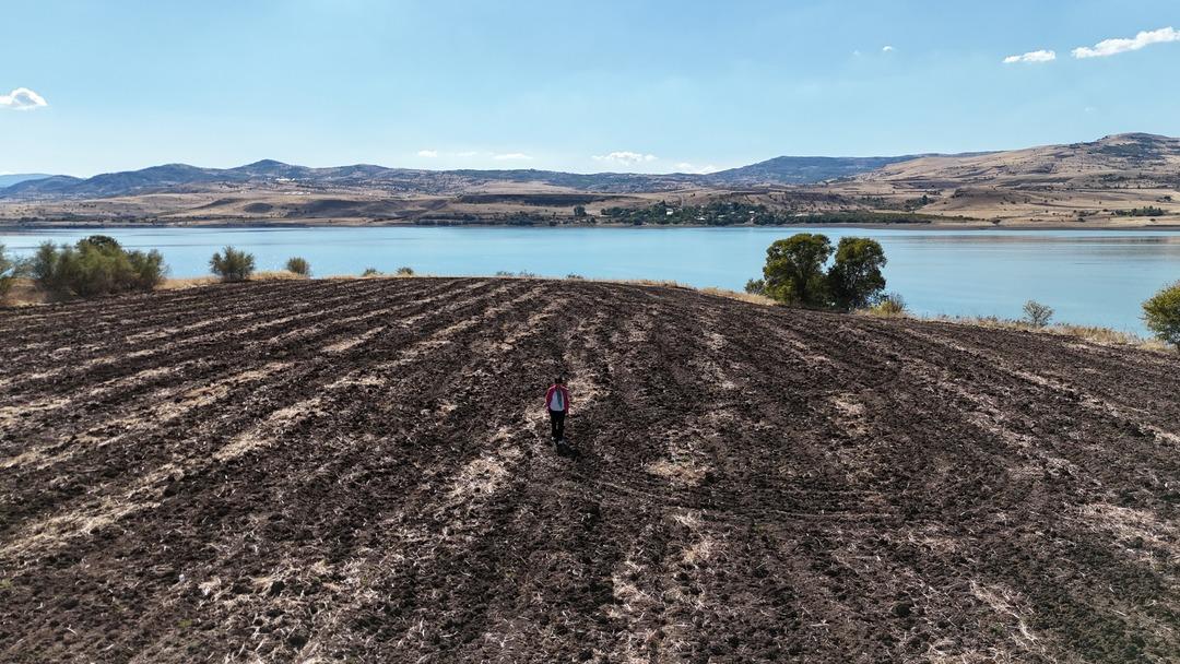 Fransa dan köyüne sera kurmak için döndü: "600 kişiye istihdam" 2