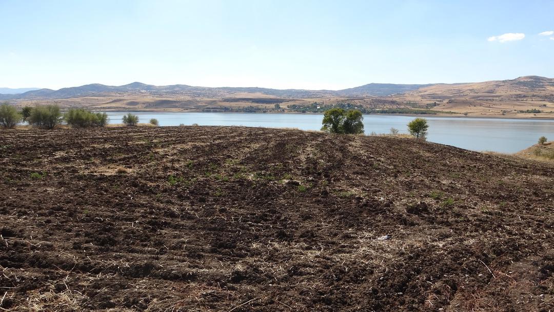Fransa dan köyüne sera kurmak için döndü: "600 kişiye istihdam" 8