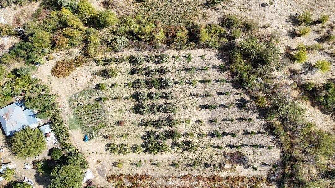 Fransa dan köyüne sera kurmak için döndü: "600 kişiye istihdam" 9