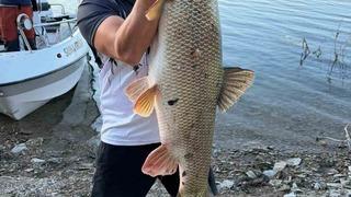 Elazığ’da balıkçı 70  kiloluk turna yakaladı