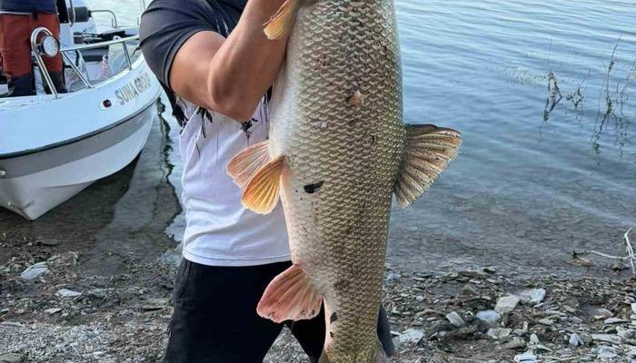 700x400 Elazığ’da balıkçı 70 kiloluk turna yakaladı