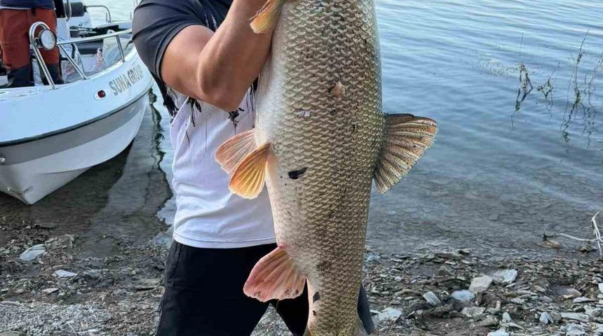 Elazığ’da balıkçı 70  kiloluk turna yakaladı