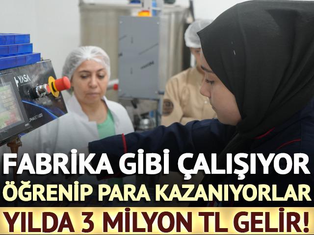 Yılda 3 milyon TL gelir! Fabrika gibi çalışıyor, öğrenip para kazanıyorlar