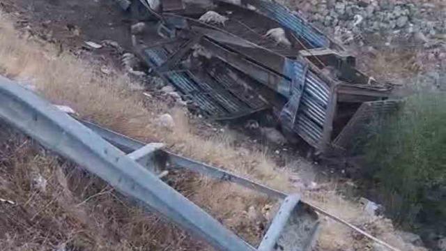 Bingöl’de hayvan taşıyan kamyon şarampole yuvarlandı