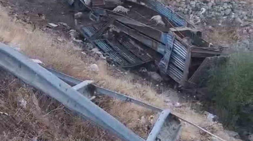 Bingöl’de hayvan taşıyan kamyon şarampole yuvarlandı