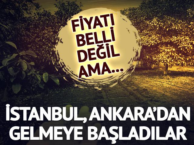 İstanbul, Ankara'dan o köye gelmeye başladılar! Fiyatı belli değil ama...