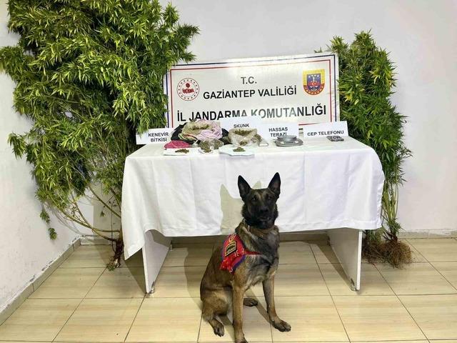 Gaziantep’te uyuşturucu operasyonu: 2 şüpheli tutuklandı 2