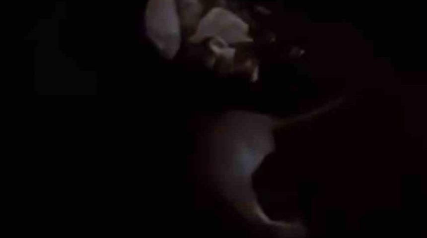 Yüksekova’da su samuru görüntülendi