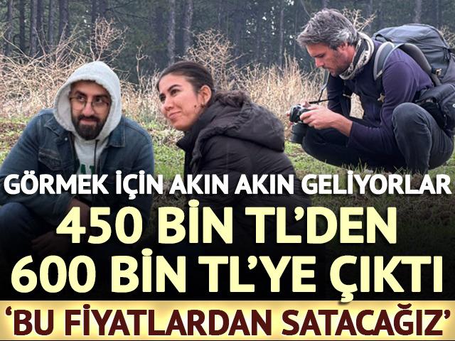 'Bu fiyatlardan satacağız' 450 bin TL'den 600 bin TL'ye çıktı! Görmek için akın akın geliyor