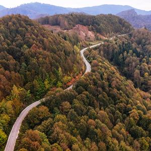 Düzce, Sakarya ve Bolu... Sonbaharın tonları doğayı renklendirdi