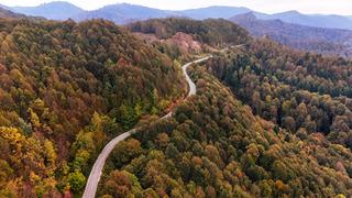 Düzce, Sakarya ve Bolu... Sonbaharın tonları doğayı renklendirdi