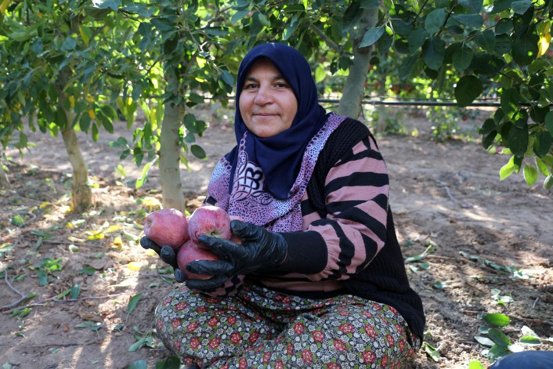 Yer Isparta... Elma hasadında büyük düşüş! Rekolte beklentisi 800 bin ton: "Hindistan, Çin, Avrupa ve Arap ülkelerine elmalarımız ulaşıyor" 6
