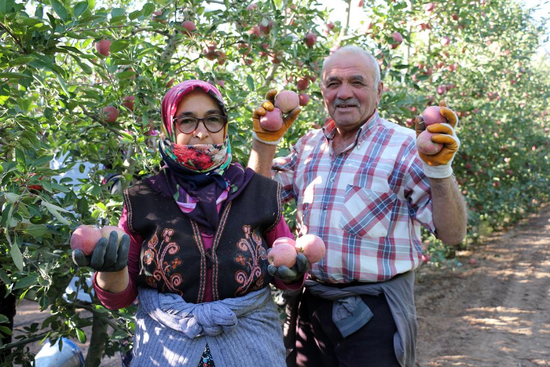 Yer Isparta... Elma hasadında büyük düşüş! Rekolte beklentisi 800 bin ton: "Hindistan, Çin, Avrupa ve Arap ülkelerine elmalarımız ulaşıyor" 4