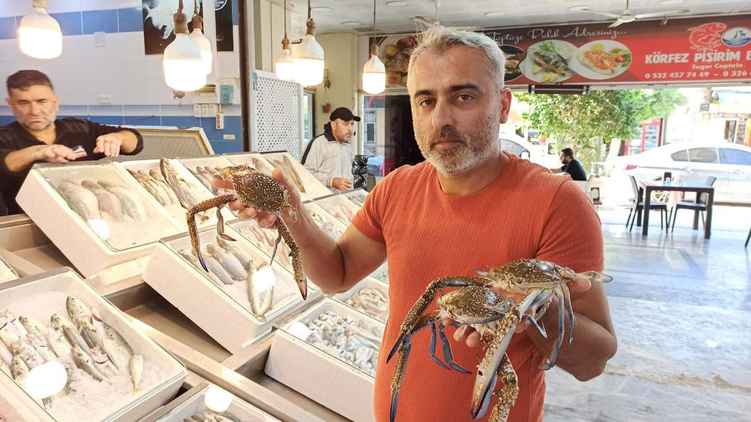 Sadece o ilçede var! 1500 TL den 400 TL ye düştü  3 ay sonra fiyatlar artar  3
