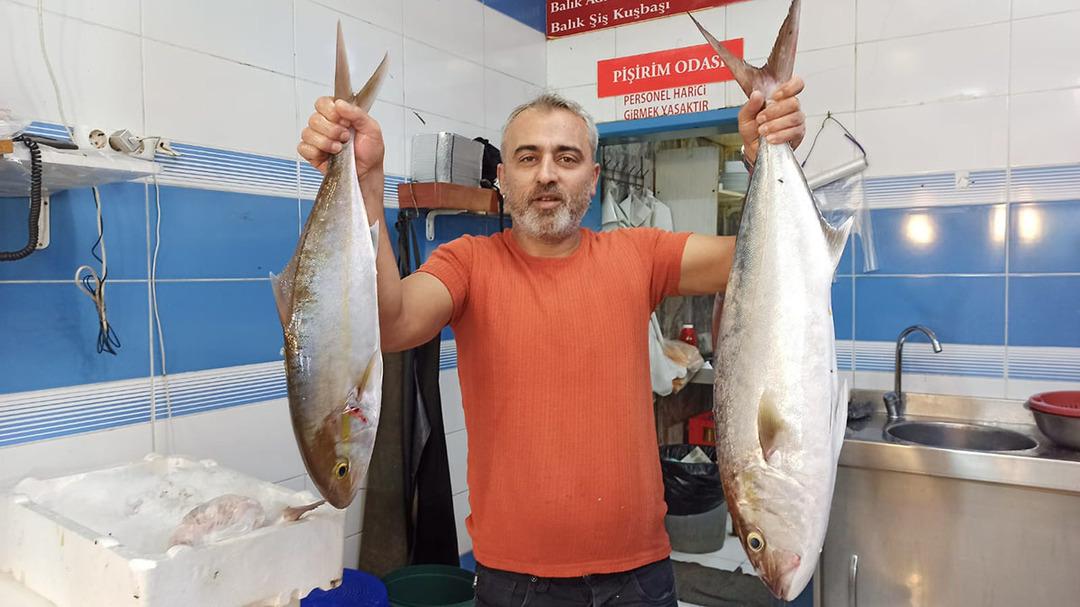 Sadece o ilçede var! 1500 TL den 400 TL ye düştü  3 ay sonra fiyatlar artar  5