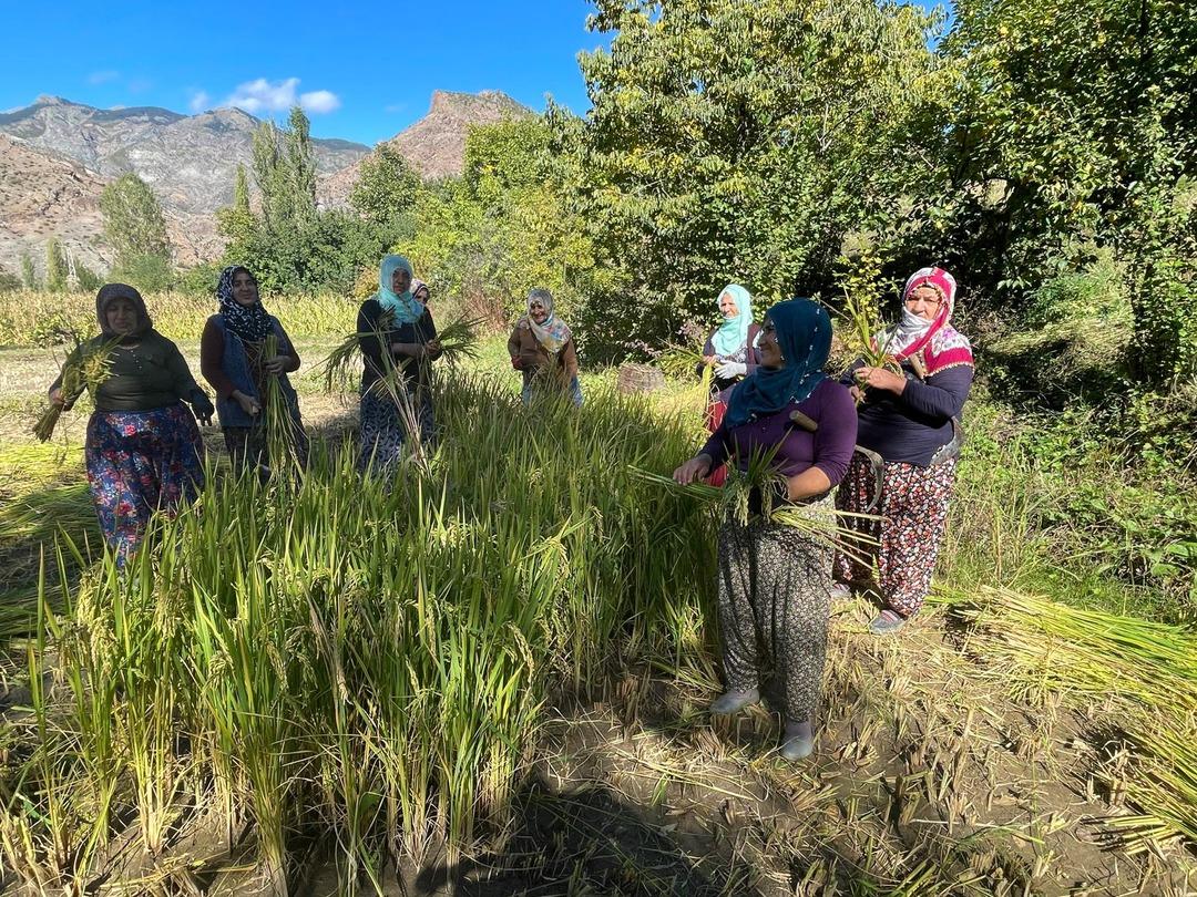 Görüntüsü ve yemesi güzel, kilosu 150 TL!  Nehrin suyu ile besleniyor  2