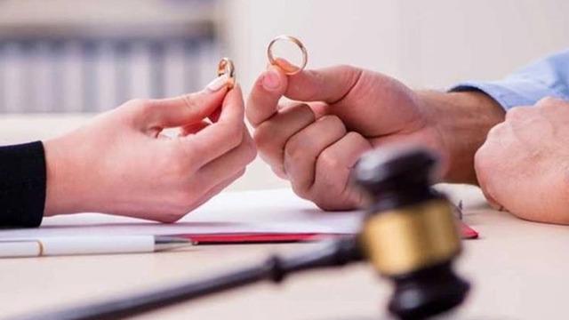 Yeni nesil nafaka türü: Boşanma protokolüne kedi velayeti eklendi! 3 ayda bir 10 bin lira bakım masrafı ödemesi....