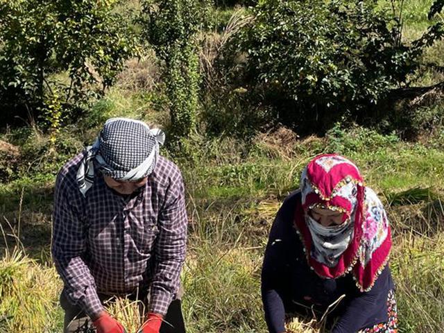 Görüntüsü ve yemesi güzel, kilosu 150 TL