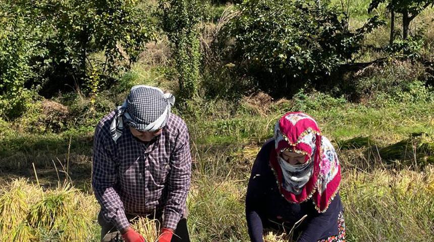 Görüntüsü ve yemesi güzel, kilosu 150 TL! 'Nehrin suyu ile besleniyor'