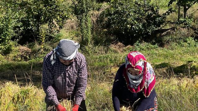 Görüntüsü ve yemesi güzel, kilosu 150 TL! 'Nehrin suyu ile besleniyor'