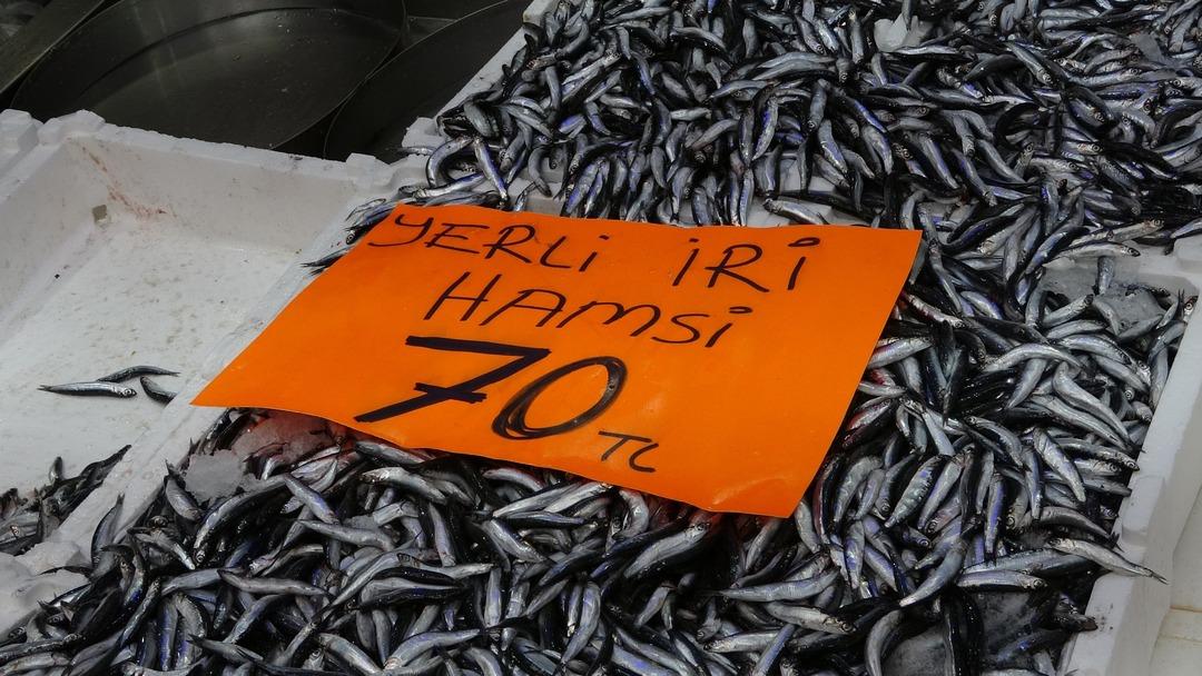  Sevinçten yedim  300 TL den 70 TL ye düşünce çiğ çiğ yedi! Tezgahın önünde kuyruk oldular 2
