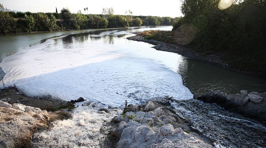 Adana'da balık ölümleri görülen Ceyhan Nehri'nde inceleme başlatıldı