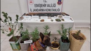 Uyuşturucu ve silah bulunduran 7 şüpheli jandarma tarafından yakalandı