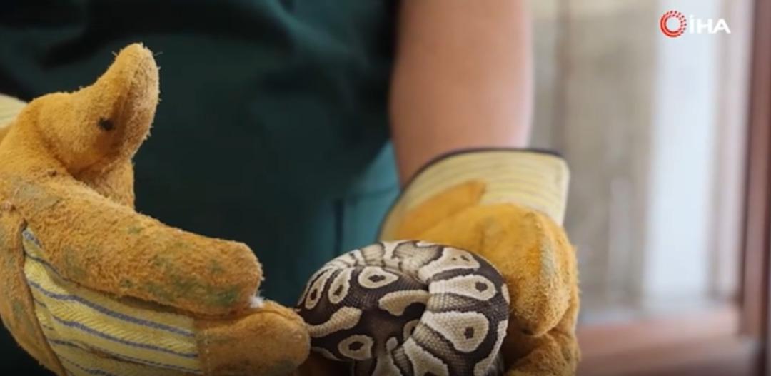 Yer: Konya! Polis durdurdu, cebinden &ccedil;ıkan hayrete d&uuml;ş&uuml;rd&uuml;!  2