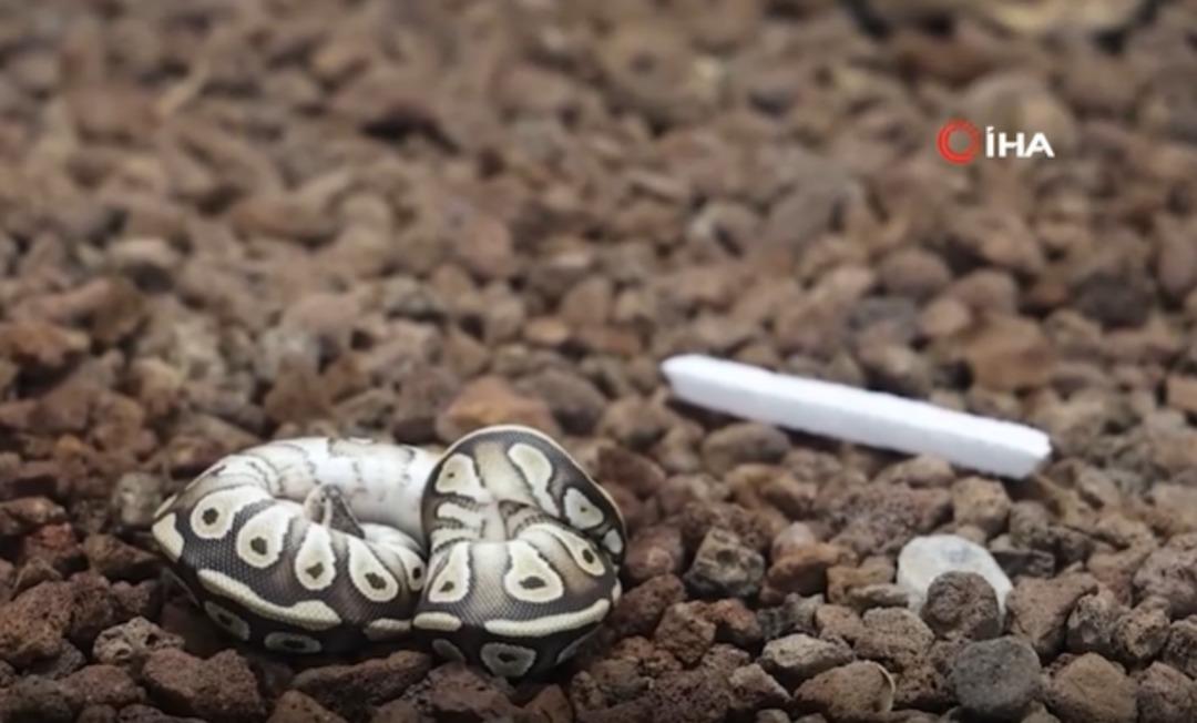 Yer: Konya! Polis durdurdu, cebinden &ccedil;ıkan hayrete d&uuml;ş&uuml;rd&uuml;!  1