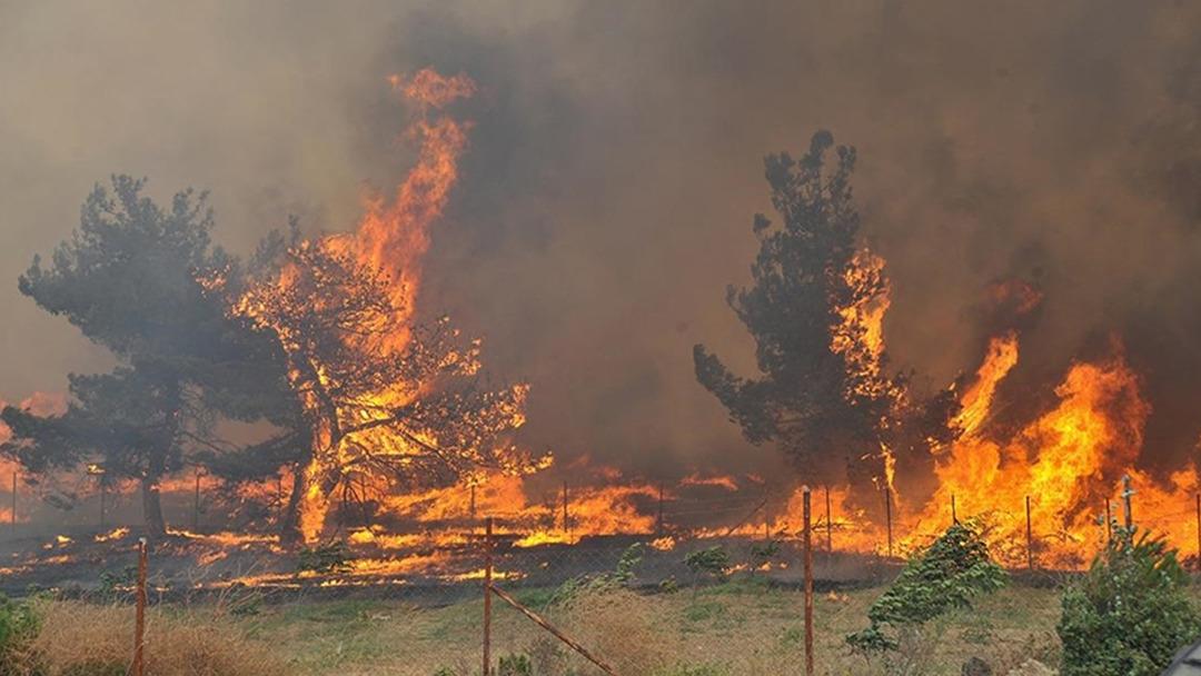Bakan Yumaklı dan çok net mesaj: "Yanan alanlar hiçbir şekilde imara açılamaz" 1