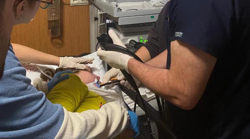 Zihinsel engelli kadının yemek borusuna ceviz kaçtı: Operasyonla çıkarıldı...