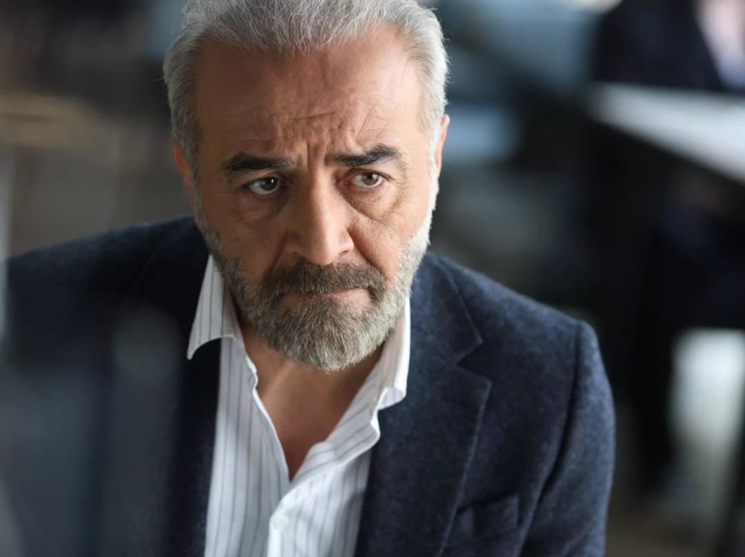 DİZİ 33 DİZİ 33